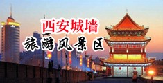 小屄流白中国陕西-西安城墙旅游风景区